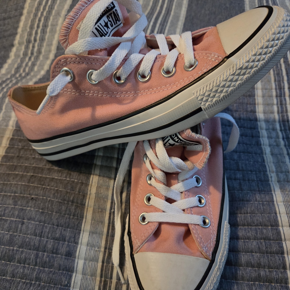 Converse Women's Pink Canvas Sneakers